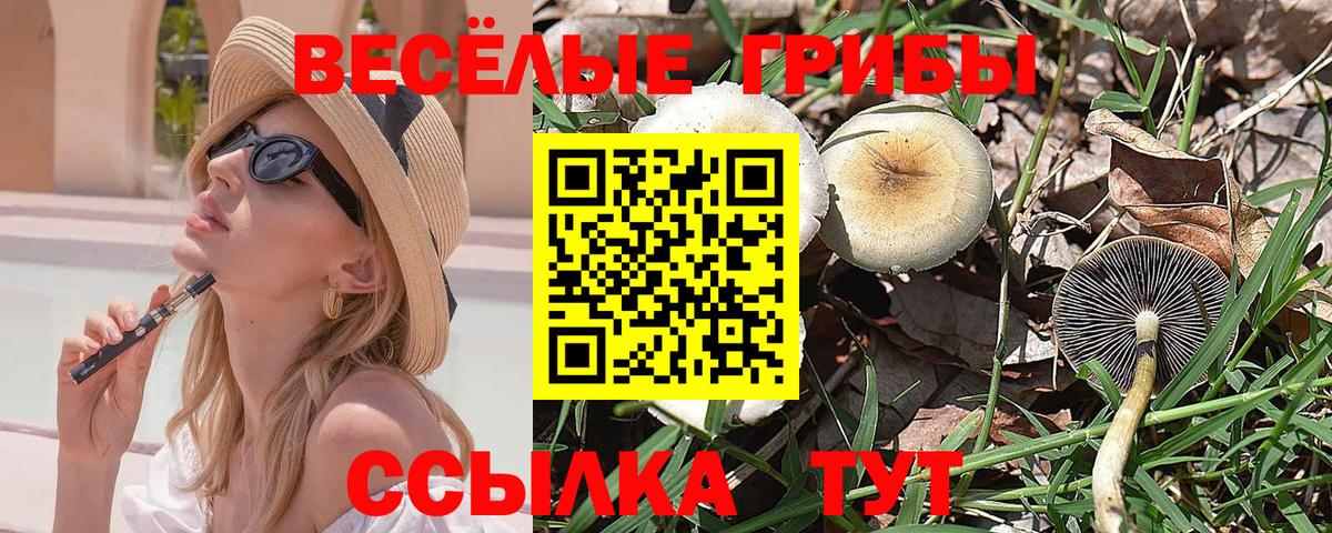 Шелехов  Псилоцибиновые грибы Magic Shrooms  где можно купить наркотик  Вход с VPN 